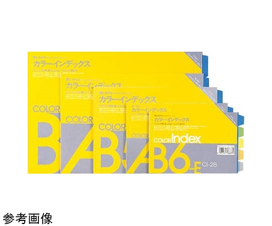 ライオン事務器 カラーインデックス B5判E型 CI-24 1冊(ご注文単位1冊)【直送品】