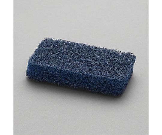 アズワン 60x125mm ナイロン不織布たわし(粗目/10個 EA928AS-9B 1セット(ご注文単位1セット)【直送品】