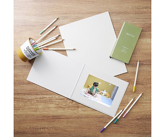 ハクバ写真産業 無地台紙 NO.790 2L 2面 ヨコ M790-2LY-2 1個(ご注文単位1個)【直送品】