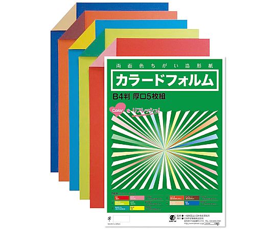 日本色研事業 カラードフォルム B4 厚口 5枚組 13843 1セット(ご注文単位1セット)【直送品】