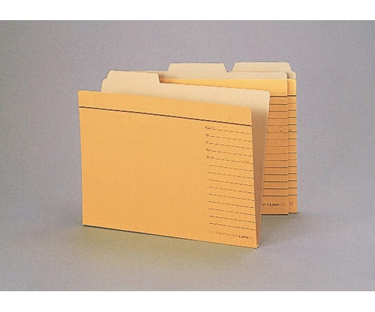 ライオン事務器 カットフォルダー 1パック(30冊入) A4-3F-R-30P 1パック(ご注文単位1パック)【直送品】