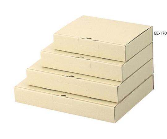ヤマニパッケージ 宅配用 宅送用ギフト箱 4cm 100枚 EE-170 1ケース（ご注文単位1ケース）【直送品】
