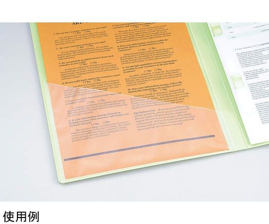 ライオン事務器 タックポケット TP-A4S 1冊(ご注文単位1冊)【直送品】