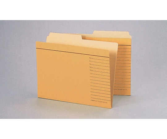 ライオン事務器 カットフォルダー 1パック(20冊入) A4-2F-R-20P 1パック(ご注文単位1パック)【直送品】