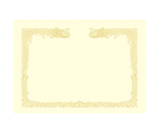 ササガワ OA賞状用紙 雲なし クリーム A3判 縦書用 100枚入 10-1487 1箱(ご注文単位1箱)【直送品】