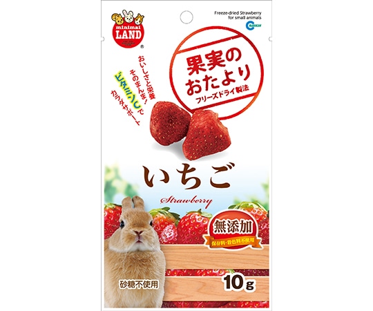 フジコン 果実のおたより いちご 10g ML-84 1個（ご注文単位1個）【直送品】