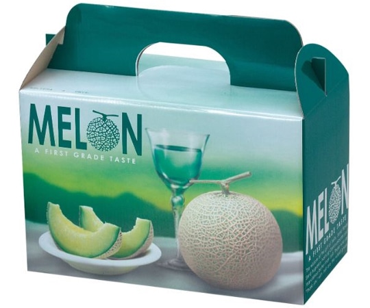 ヤマニパッケージ 青果用贈答箱 ビリジスメロン 2個入 50枚 L-2084 1ケース（ご注文単位1ケース）【直送品】