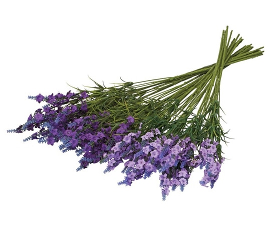 アズワン ラベンダースプレー 24本組 23-18-2-1 1セット(ご注文単位1セット)【直送品】