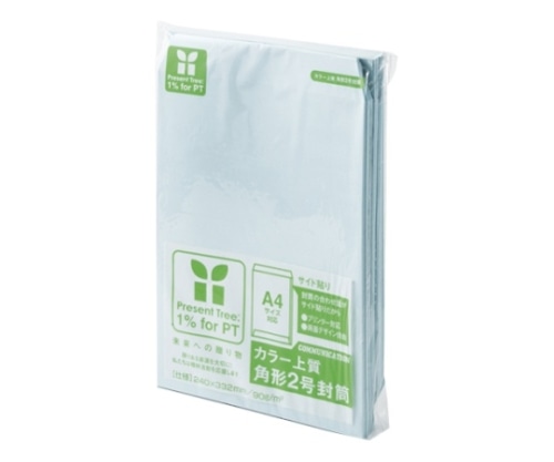 寿堂 カラー上質封筒(サイド貼り)角2 ミズ 2162 1枚(ご注文単位1枚)【直送品】