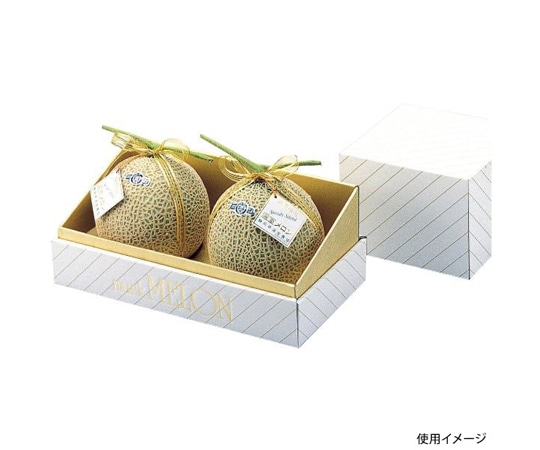 ヤマニパッケージ 青果用贈答箱 金台紙メロン2個入 30枚 L-74 1ケース（ご注文単位1ケース）【直送品】