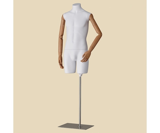 アズワン 紳士腕付きトルソー M 61-810-47-1 1個（ご注文単位1個）【直送品】