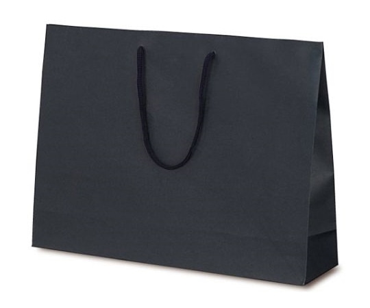 ベルベ 紙袋 手提袋 T-Y カラークラフト ネイビー 100枚 1041 1ケース（ご注文単位1ケース）【直送品】