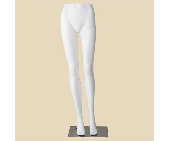 アズワン PP製 婦人パンツトルソー 白 61-810-44-1 1個（ご注文単位1個）【直送品】