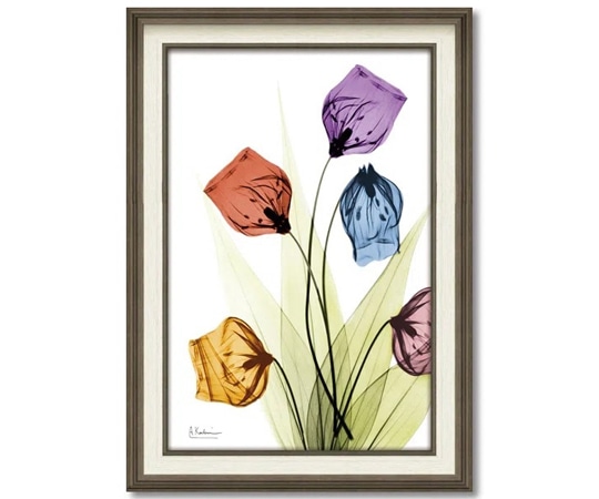 ユーパワー X RAY キャンバスアート｢サンダーソニア(Mサイズ)｣ XR-12014 1個（ご注文単位1個）【直送品】