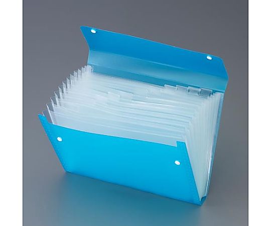 キングジム A4/240x330x35mm ドキュメントバッグ(ブルー) EA762CB-541 1冊(ご注文単位1冊)【直送品】