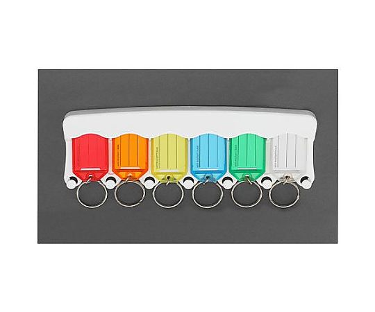 エスコ 203x65mm キーラック(6個用) EA956VL-106 1個(ご注文単位1個)【直送品】