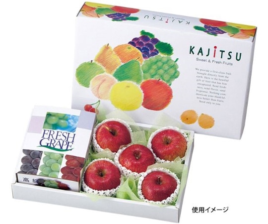 ヤマニパッケージ 贈答箱 果実パレット 中長 40枚 L-449 1ケース(ご注文単位1ケース)【直送品】