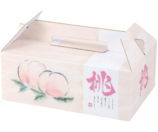 ヤマニパッケージ 青果用贈答箱 桃果手提6個入 100枚 L-2284 1ケース（ご注文単位1ケース）【直送品】