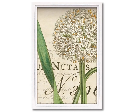 ユーパワー ロハス ミニアートフレーム ワイルド アップル スタジオ｢ボタニーク ブルー2｣ LA-01710 1個（ご注文単位1個）【直送品】