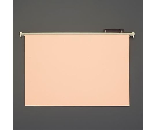 ライオン事務器 A4/240x311mm ハンガーフォルダー(20冊) EA762CE-13 1パック(ご注文単位1パック)【直送品】