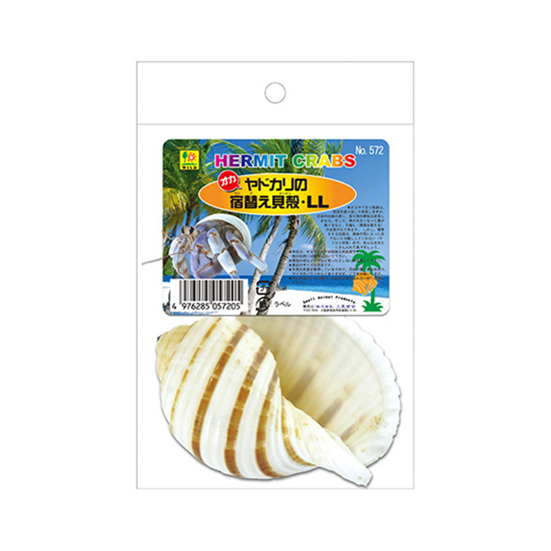三晃商会 オカヤドカリの宿替え貝殻 LL 572 1個（ご注文単位1個）【直送品】