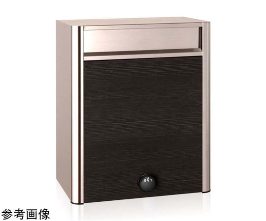 コーワソニア 戸建郵便受箱 704 シリンダー錠 パイン P704ES-SLP 1個(ご注文単位1個)【直送品】