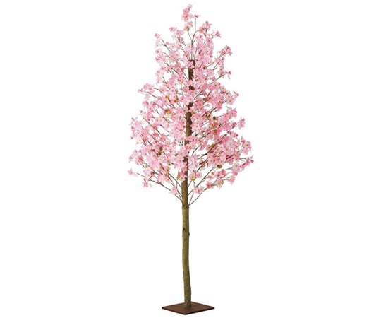 アズワン 桜立ち木 H200cm 23-5-1-2 1個(ご注文単位1個)【直送品】