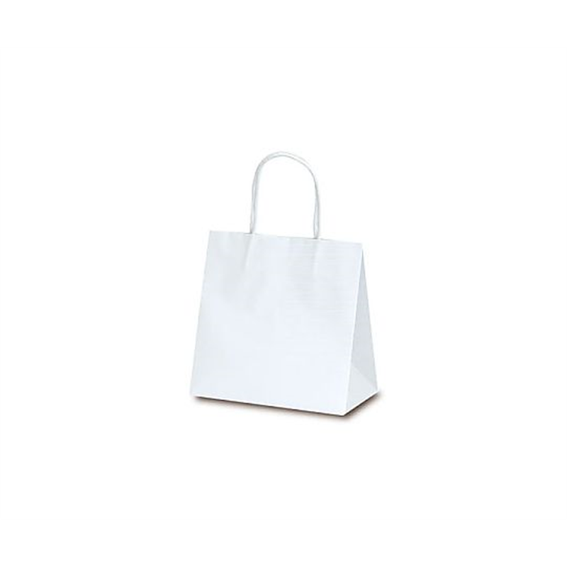 ベルベ 紙袋 マットバッグ SS ホワイト 100枚 1079 1ケース（ご注文単位1ケース）【直送品】