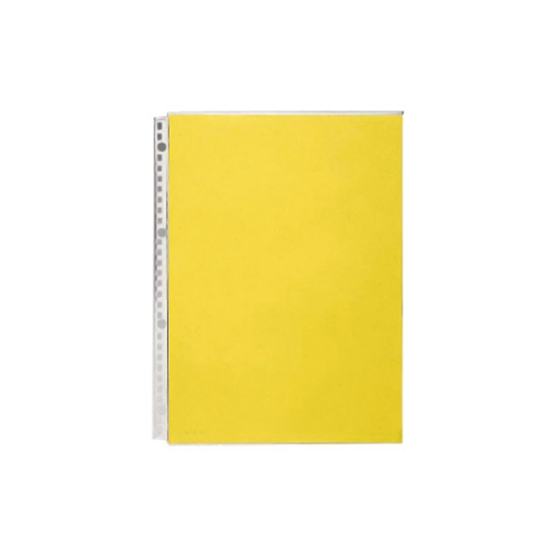 LIHITLAB クリヤーポケット 黄 1組(10枚入) N1489-10P 1組(ご注文単位1組)【直送品】