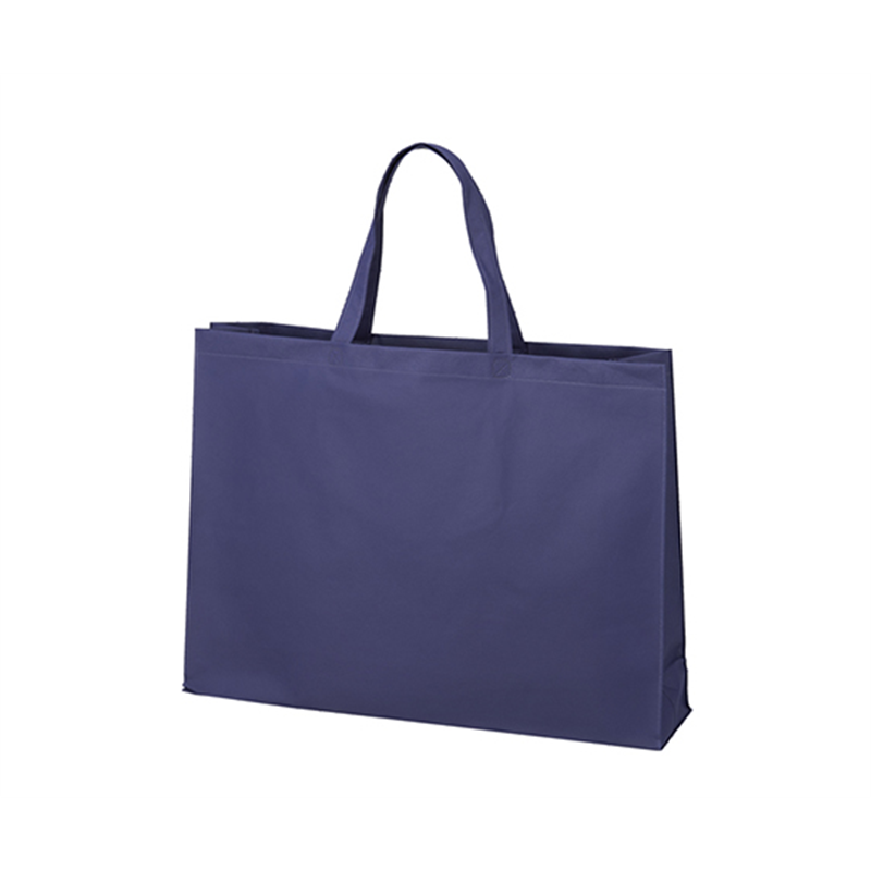 アズワン 不織布バッグ 角底 大 厚タイプ 紺 1箱(100枚入) LC0552AD00 1箱(ご注文単位1箱)【直送品】