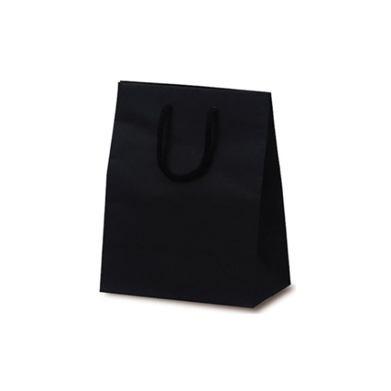 ベルベ 紙袋 手提袋 T-2 カラークラフト ブラック 100枚 1037 1ケース（ご注文単位1ケース）【直送品】