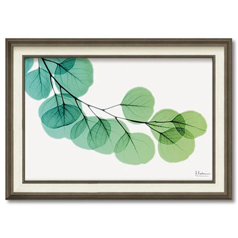 ユーパワー X RAY キャンバスアート｢ユーカリ(Mサイズ)｣ XR-12008 1個（ご注文単位1個）【直送品】