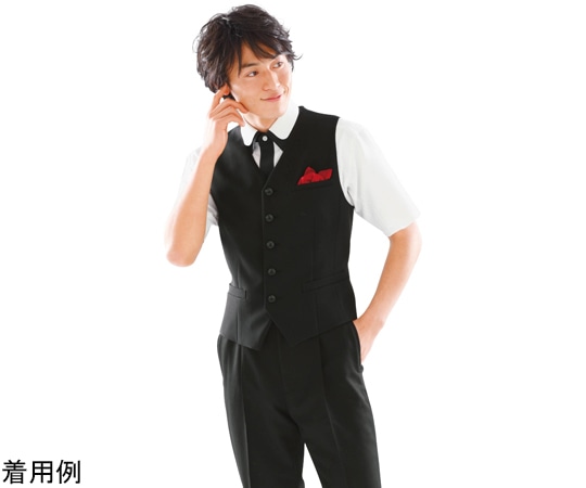 カーシーカシマ AMUS-NET ベスト 265-10 M AAX265 1枚（ご注文単位1枚）【直送品】