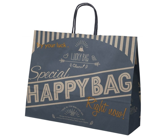 アズワン 福袋手提げ紙袋 ハッピーバッグ ネイビー 41.5×11×32cm 50枚入 38-151-3-3 1個(ご注文単位1個)【直送品】