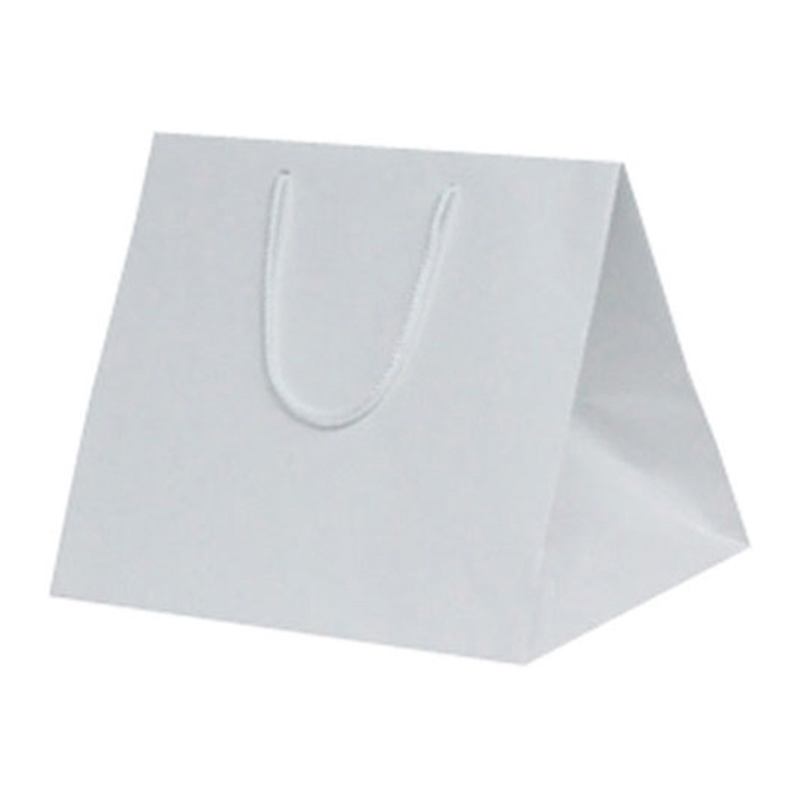 ベルベ 紙袋 ファインバッグ 260ワイド 50枚 1166 1ケース（ご注文単位1ケース）【直送品】