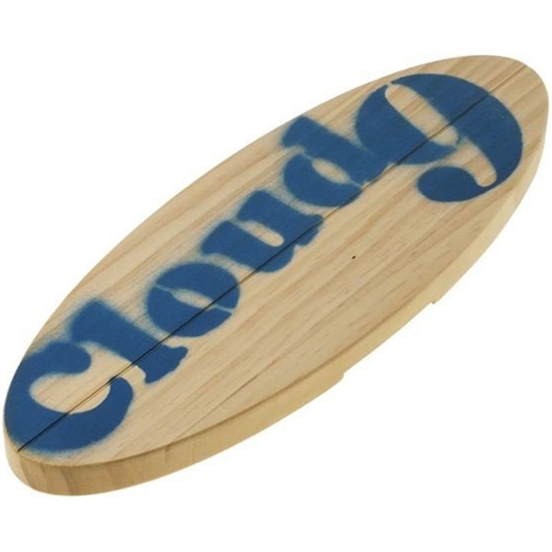 ライフサーブ LS BoardHanger for Snow ブルー  1個(ご注文単位1個)【直送品】