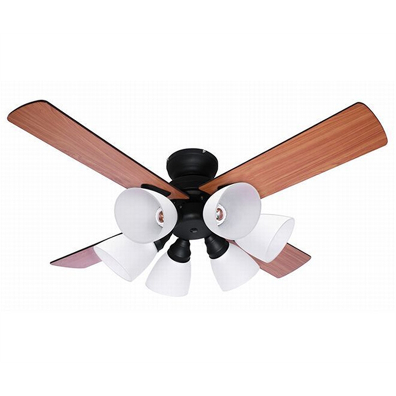 ライフオンプロダクツ シーリングファン Windouble6 ブラック BIG-102-BK 1個(ご注文単位1個)【直送品】