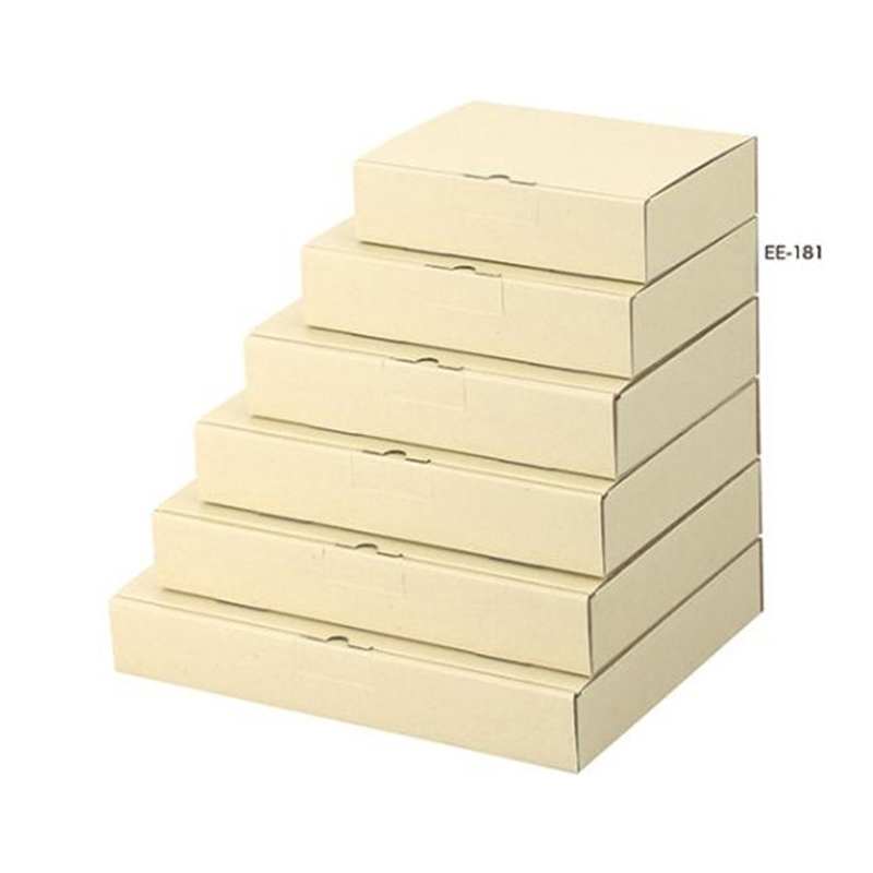 ヤマニパッケージ 宅配用 宅送用ギフト箱 5cm 100枚 EE-181 1ケース（ご注文単位1ケース）【直送品】