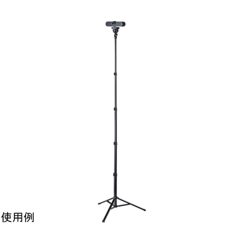サンワサプライ ロングスタンド DG-CAM30 1セット（ご注文単位1セット）【直送品】