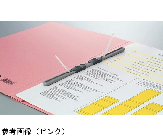 ライオン事務器 フラットファイル 1パック(3冊入) FP(CS)-A528E-3P 1パック(ご注文単位1パック)【直送品】