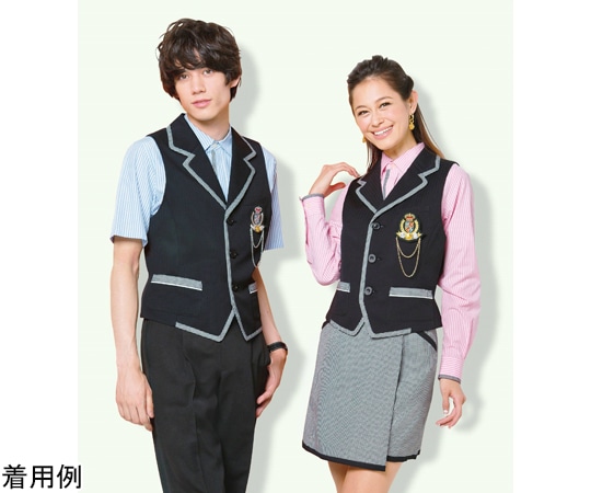 カーシーカシマ AMUS-NET ベスト 192-10 L AAH192 1枚（ご注文単位1枚）【直送品】