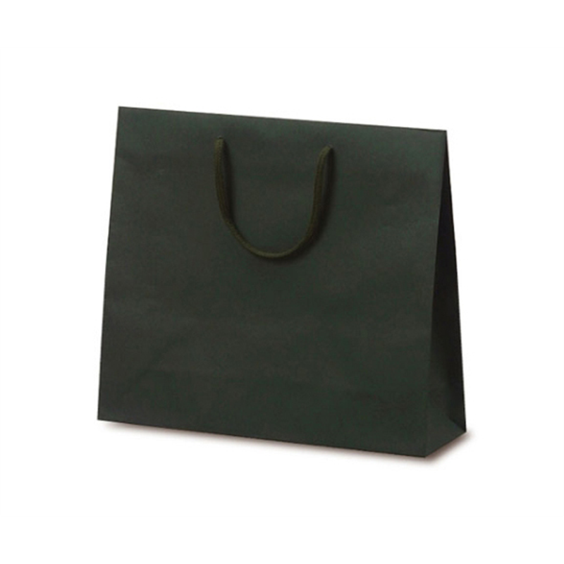 ベルベ 紙袋 手提袋 T-6 カラークラフト グリーン 100枚 1030 1ケース（ご注文単位1ケース）【直送品】