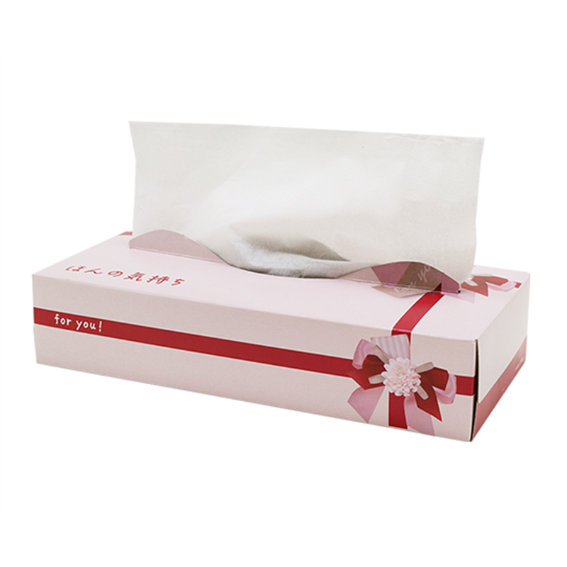 イトマン ほんの気持ちティシュ120ダブル(N)×60個入 20120143 1ケース（ご注文単位1ケース）【直送品】