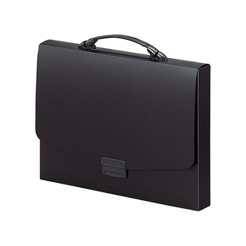 LIHITLAB ポートフォリオ・ナスカフレックス ブラック F-910 F910-ク 1冊(ご注文単位1冊)【直送品】