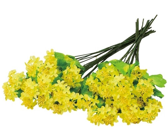 アズワン 菜の花スプレー50cm 24本組 23-15-4-1 1セット(ご注文単位1セット)【直送品】