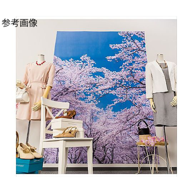 アズワン バックグラウンドシート さくら 175×240cm 23-25-1-1 1個（ご注文単位1個）【直送品】