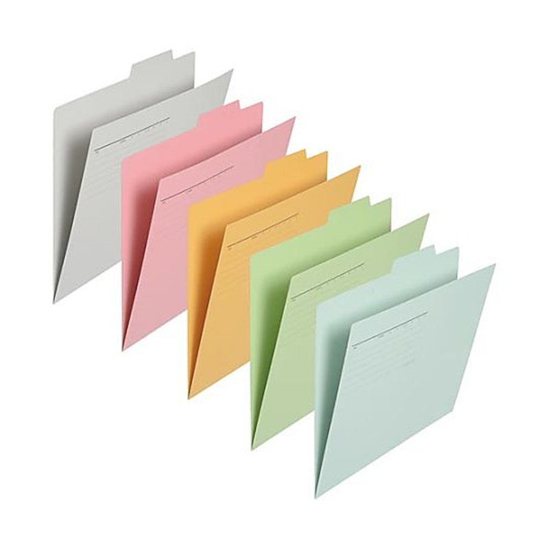プラス 個別フォルダー A4横 アソート5色10冊パック FL-061IF-AP 1パック(ご注文単位1パック)【直送品】