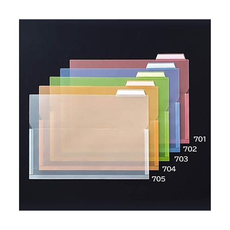 ライオン事務器 A4 インデックスホルダー(オレンジ/マチ付/4冊) EA762CF-704 1式(ご注文単位1式)【直送品】