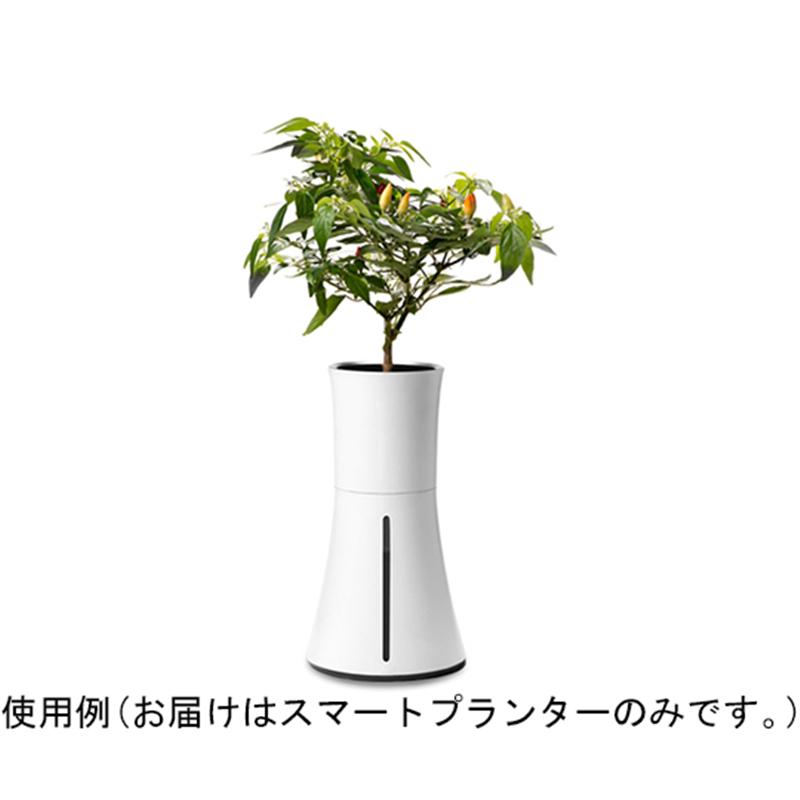 BOTANIUM 自動で水やり､手間なく育てるスマートプランター BOTANIUM-WT 1台(ご注文単位1台)【直送品】