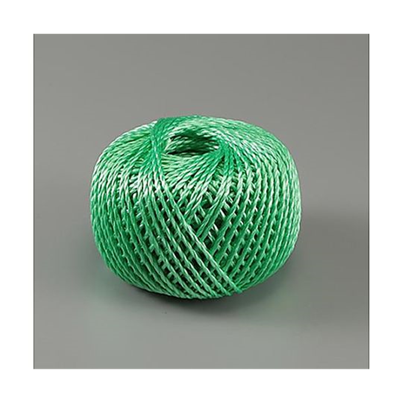 アズワン 3.0mmx100m PPロープ(溶着なし/緑) EA628PR-33 1個(ご注文単位1個)【直送品】